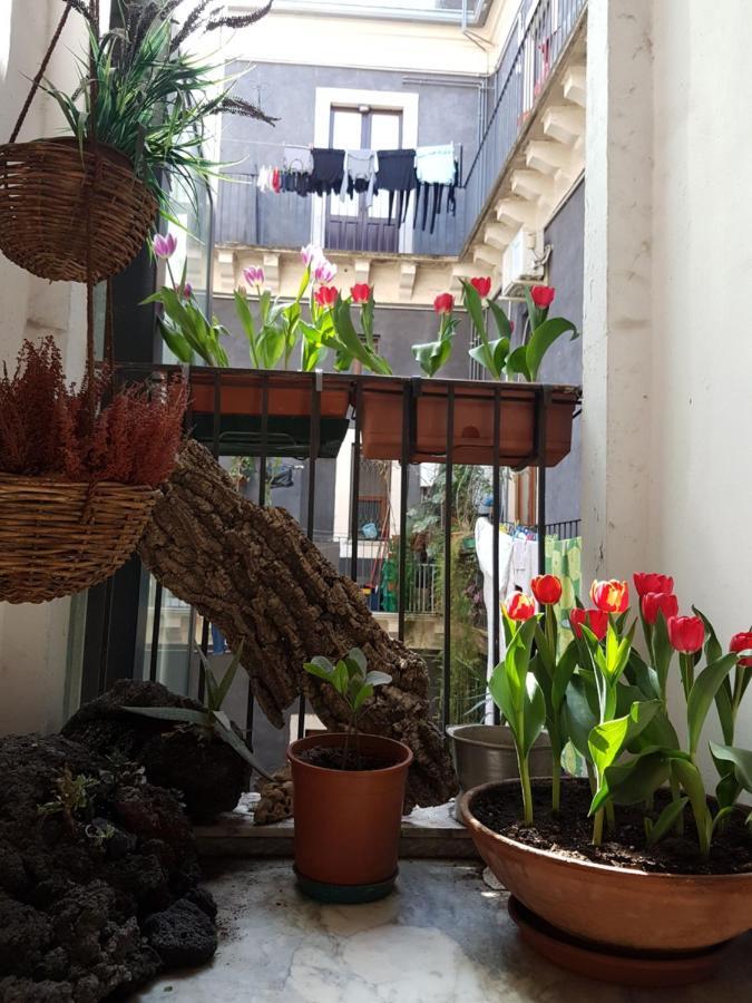 Bellini Apartment Catania-Fontanarossai nemzetközi repülőtér Kültér fotó