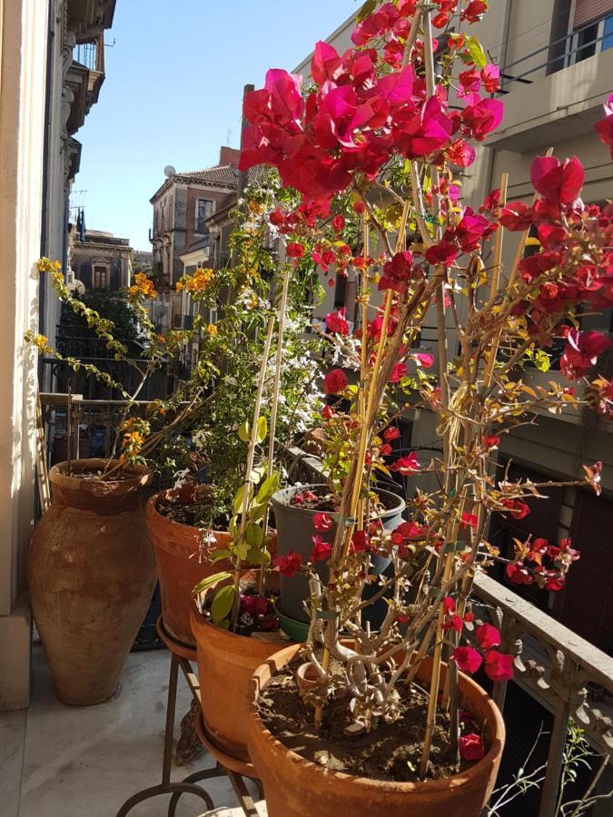 Bellini Apartment Catania-Fontanarossai nemzetközi repülőtér Kültér fotó